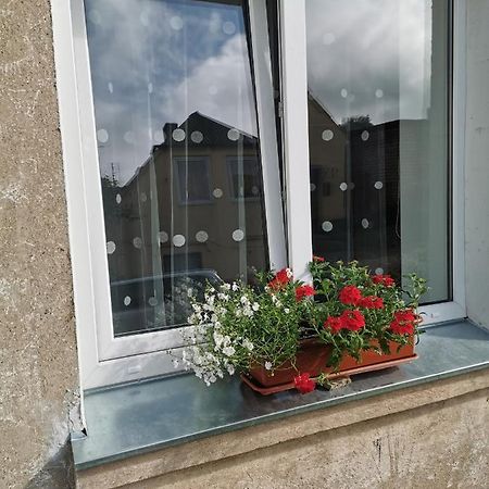 Appartement Dzivoklis Vecpilseta à Bauska Extérieur photo